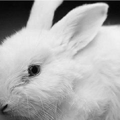 J&A TIAINEN GUEST MIX - .. Follow the white rabbit @ Bar Soolo, Kotka