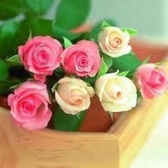 نشيد منا الرجاء ومنك العفو والجود Nashid
