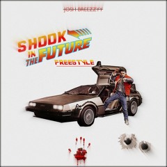 Shook In The Future (Freestyle)