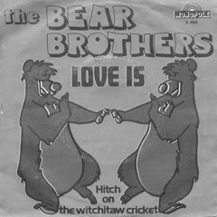 Love Is - Bear Brothers (Psychemagik Edit)