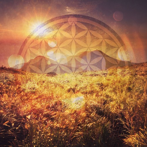 Zen Dub - Final Chapter (Ft. Daygan) [Sentience Records] OUT NOW