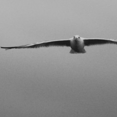 Increasingly Heavy Mix (HQ)