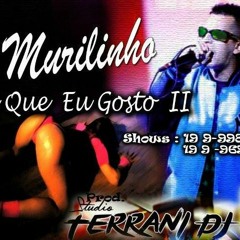 Mc Murilinho - Senta Que Eu Gosto 2 (DJ TERRANI)
