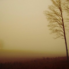 NarWalls x Nicolae Michael Wallace - We both don't like hip hop very much (FREE DL)