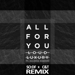 Loud Luxury - All For You (SO:DF X C&T Remix)