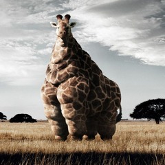 Phink and Paul S - Mamma can't shake dance