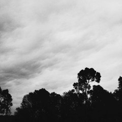 ahora que vivimos en la luz