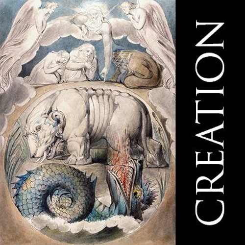 I. Let there Be Light