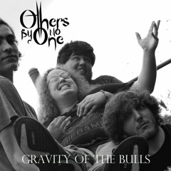 Gravity of the Bulls