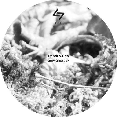 Dandi & Ugo - Incosistent [Preview] CZR rec. 2015