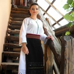 Lautarii Veseli-Olga Sava - E Sarbatoare Si Rasuna Muzica