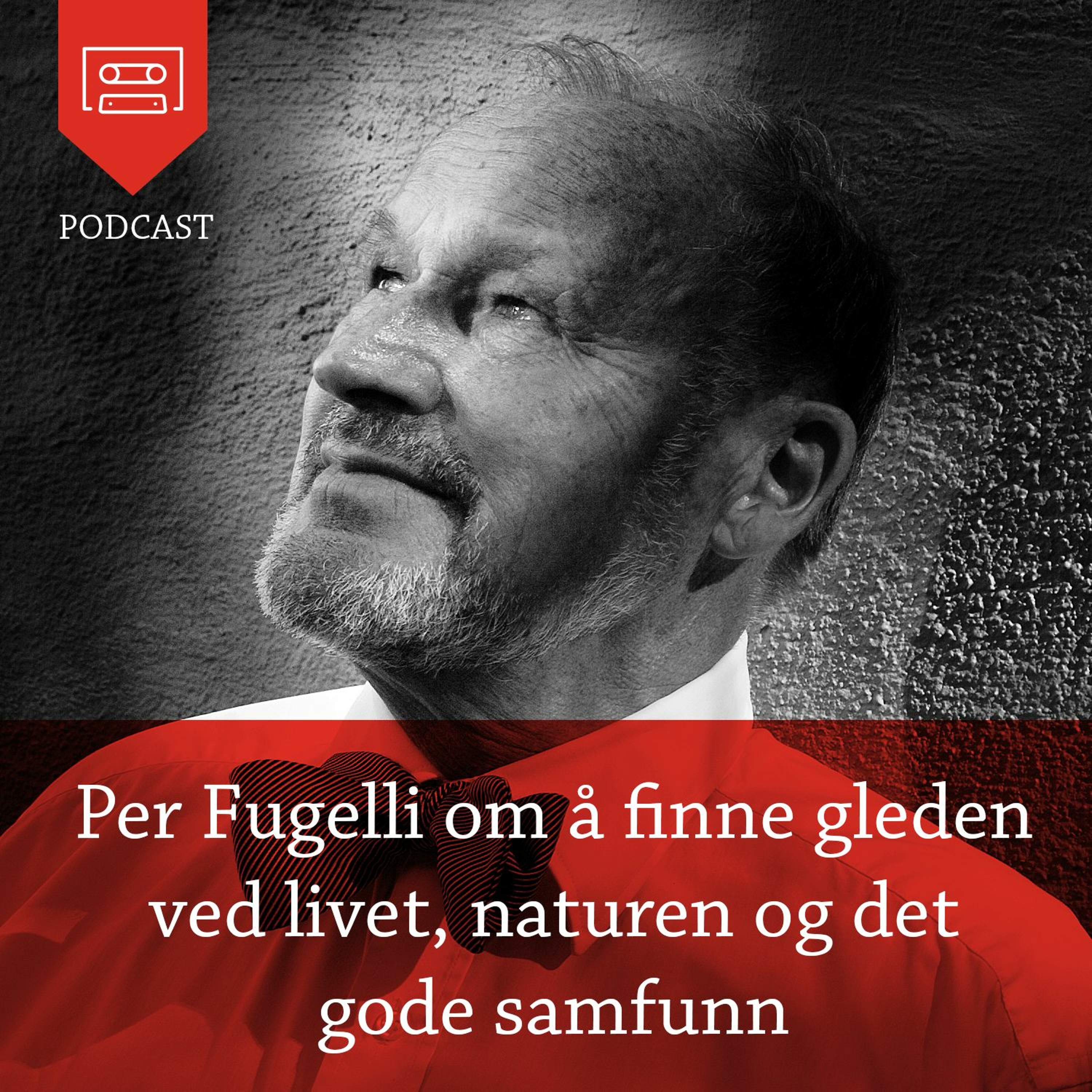 Universitetsforlagets podkast