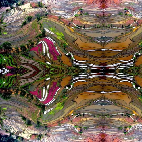 semi random meditations v1 (cassette/DVD/digi)