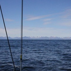 Land In Zicht (Land Unter)