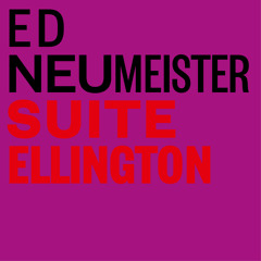 Sunset and the Mocking Bird