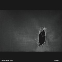 Sean Pierce - Immodest Force