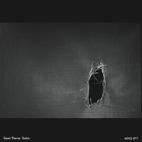 Sean Pierce - Immodest Force