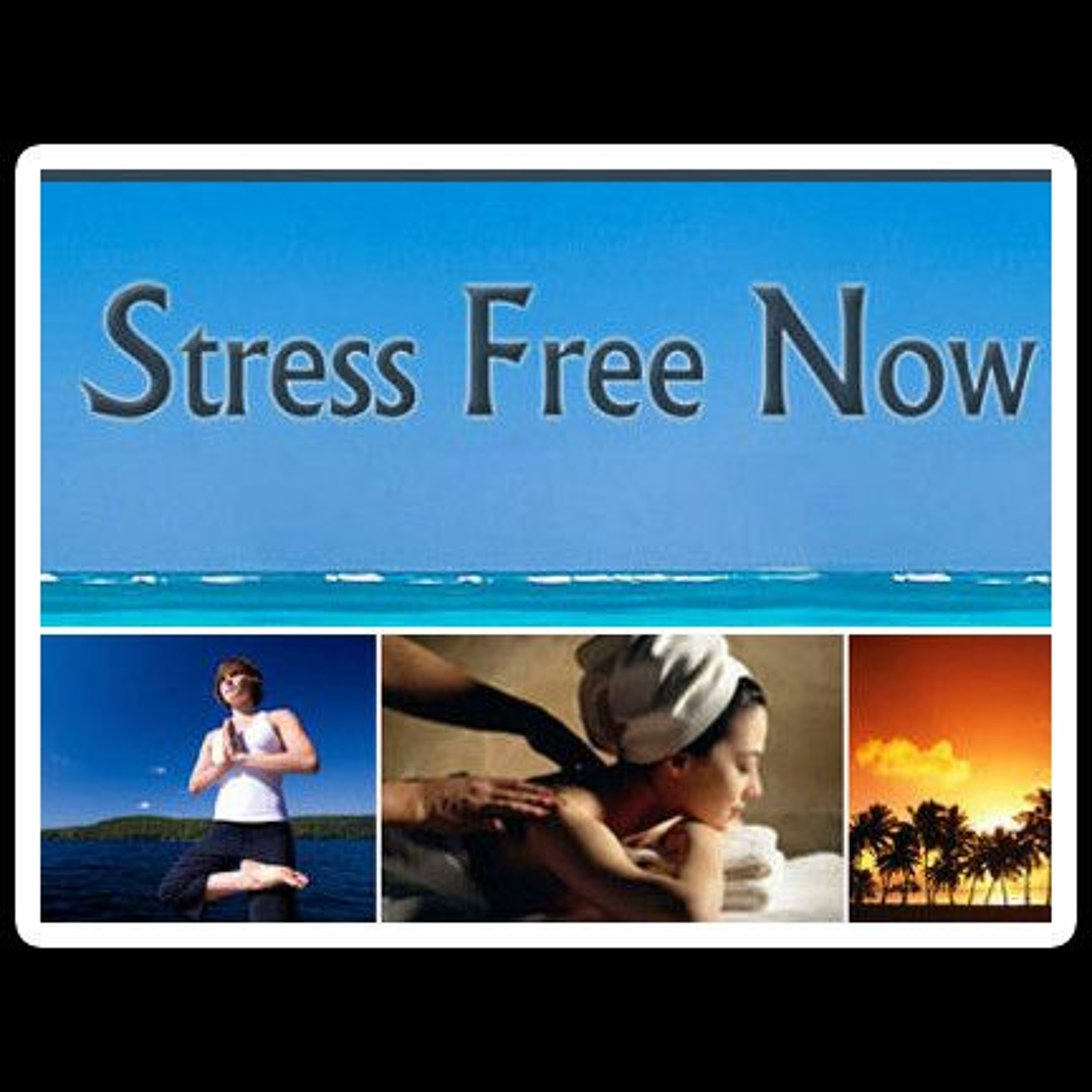 Healthy University: Episode 3 - Stress Free Now episode artwork