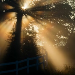 chill&ambient set's