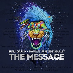 Bunji Garlin feat. Damian Marley - The Message [VP Records 2015]