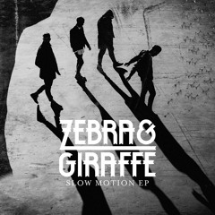 Zebra & Giraffe - Redefine