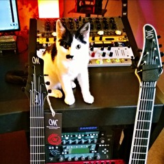 New Mayones Setius - Piezo Test