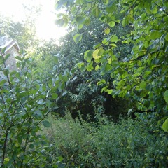 Le patch du dimanche matin (sept. 2013)