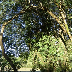 Uplifting (sept. 2013)