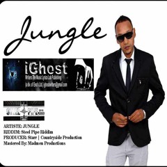 Fresh - Jungle  (2016)