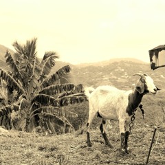 Vyshaya Mera (The Dude's Children)