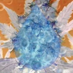 Hydro