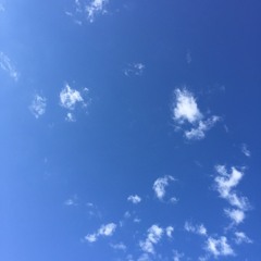 Death Grips at Jarrod Barry