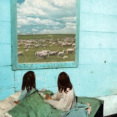 Lamb