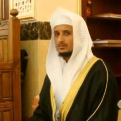 فارس عباد سورة يس