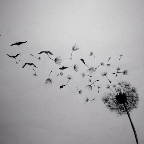 Letting go