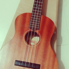 Shobder Abeg By The Tree (ukulele cover)