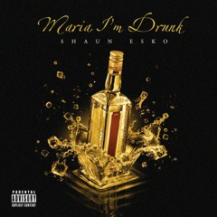 Shaun ESKO - Maria I'm Drunk