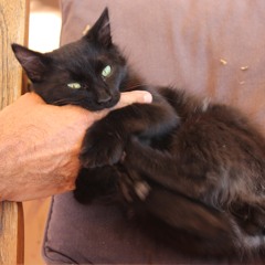 High By The Beach (Lana Del Rey)