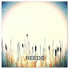 Reeds