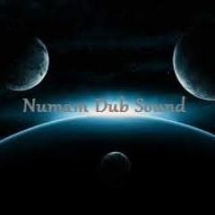 Numam Sound Dub meet Fullfaya  - Echo Trip
