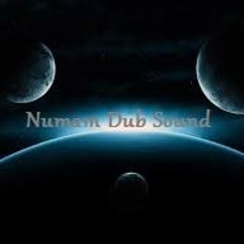 Numam Sound Dub meet Fullfaya  - Echo Trip