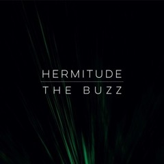 Hermitude "The Buzz" (Intivvis Bootleg)