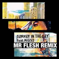 Summer In The City -Mr.Flesh Remix- / SPINMASTER A-1 feat Meiso