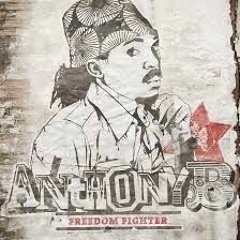 Anthony B - Freedom Fighter