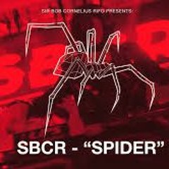 The Bloody Beetroots -Spider - Random Jihaad!- Remix