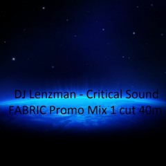 DJ Lenzman Critical Sound Fabric Promo Dec 2010 cut 40m