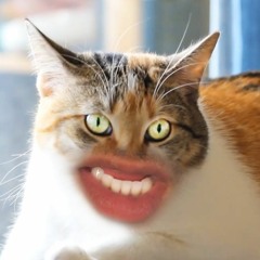 [Markiplier] Meow Remix (Am i a Cat?)