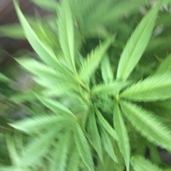 20 HEURES INSTRUMENTAL TRAP HARD