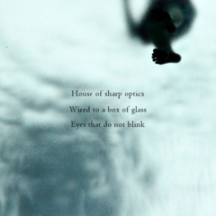Optic sharpener [naviarhaiku094 - House of sharp optics]