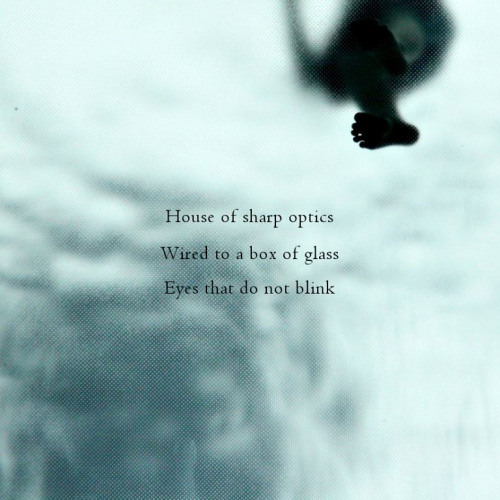 Optic sharpener [naviarhaiku094 - House of sharp optics]